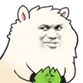 摸楼下绿头