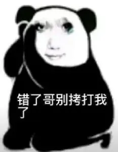 错了哥别拷打我了