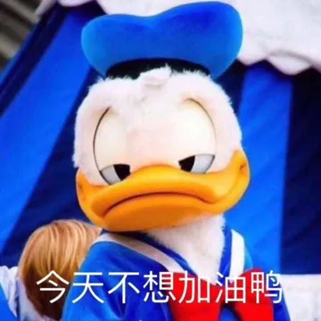 今天不想油鸭