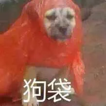 狗袋(狗带)