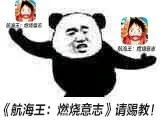 航海王：燃烧意志请赐教！