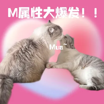 M属性大爆发！！Mua