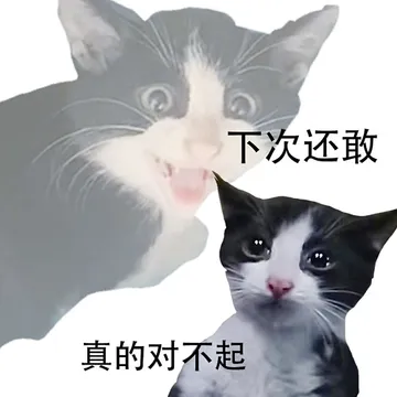 流浪奶牛猫表情包
