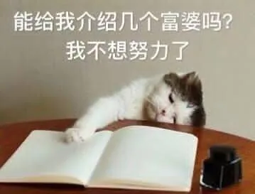 能给我介绍几个富婆吗?我不想努力了
