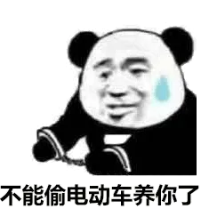 不能偷电动车养你了