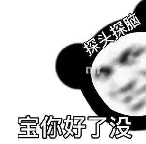 探头探脑宝你好了没