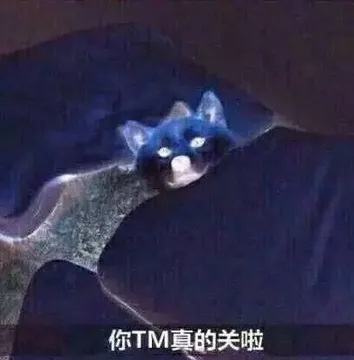 你TM真的关灯啦