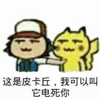 这是皮卡丘.我可以叫它电死你