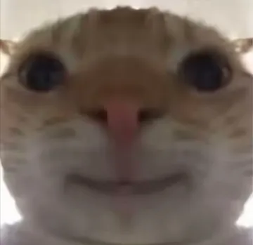 和平地铁猫猫鼠鼠表情包