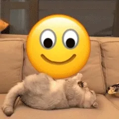 猫咪盘小黄脸 emoji