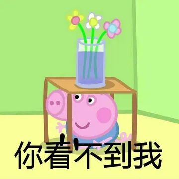 佩奇8