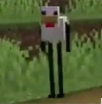 Cursed Minecraft chicken