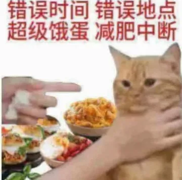 错误时间错误地点超级饿蛋减肥中断