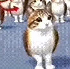猫头鹰小猫表情包