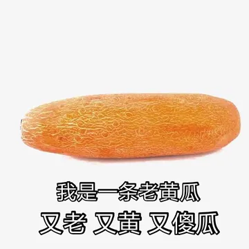 我是一条老黄瓜，又老又黄又傻瓜