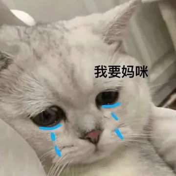 我要妈咪