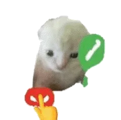 接电话小猫表情包（透明底图）