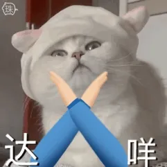 猫猫表情包 达咩