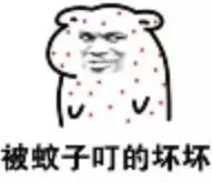 被蚊子叮的坏坏