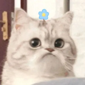 微笑小猫表情包 不开心