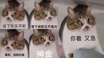 说了你又不听等下讲你又不高兴你看又急看吧，我就知道神金
