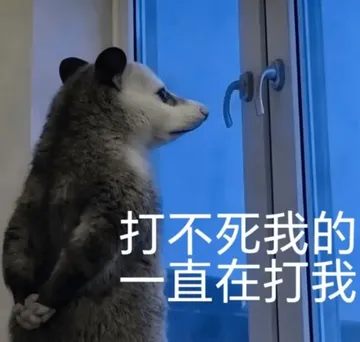 负鼠00027-打不死我的一直在打我