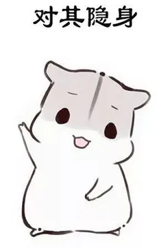 对其隐身