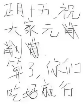 正月十五祝大家元宵快乐.你们吃好就行