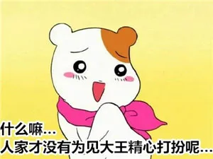 什么嘛，人家才没有 为见大王精心打扮呢。。。