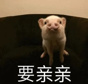要亲亲(小猪)