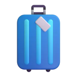 Luggage