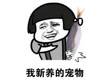 我新养的宠物