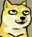 doge 白眼