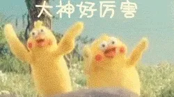 鹦鹉00005-大神好厉害