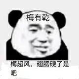 梅有乾梅超风.翅膀硬了是吧