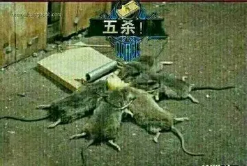 五杀!