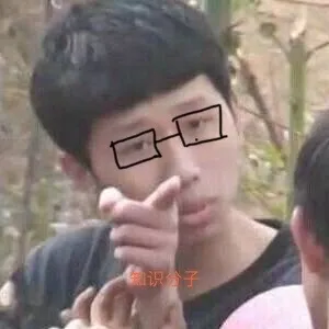王境泽指人