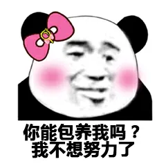 你能包养我吗?我不想努力了