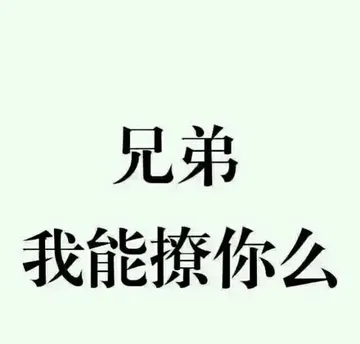 兄弟，我能撩你么
