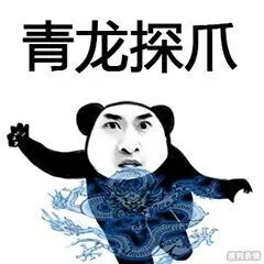 青龙探爪