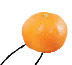 给你个橘子