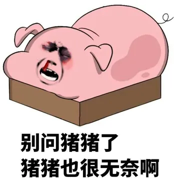 别问猪猪了猪猪也很无奈啊
