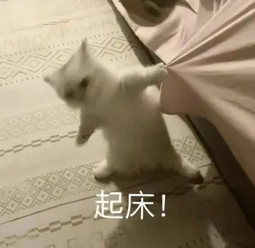 起床！