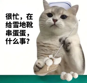 很忙,在给雪地靴串蛋蛋什么事?