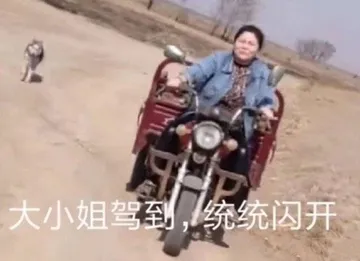 大小姐驾到，统统闪开（郭老师表情包）