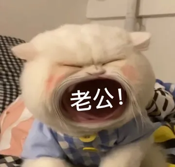 老公!