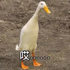 哎口