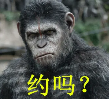 约吗？