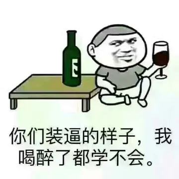 你们装逼的样子，我喝醉了都学不会