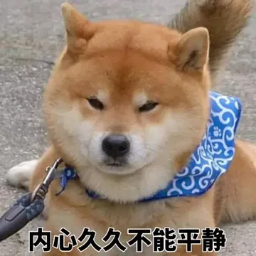 内心久久不能平静